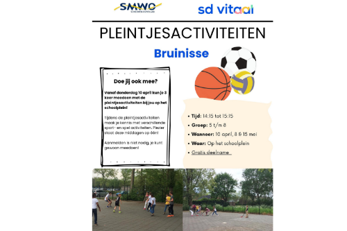 Pleintjesactiviteiten